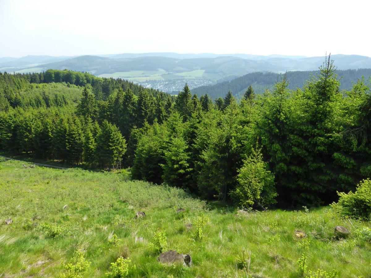 Kueken Winterberg Apartment Luaran gambar